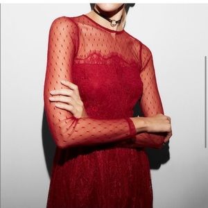 Express Lace Mesh Dress